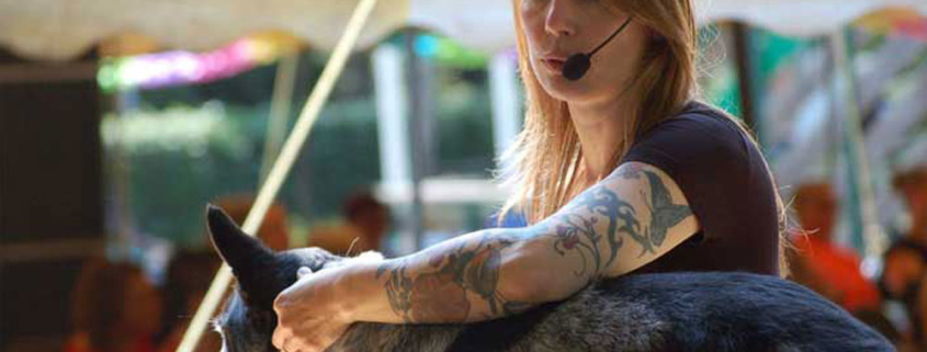 evenement-lezing-doggydays
