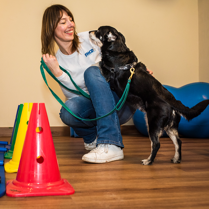fysiotherapie-hond-oefentherapie